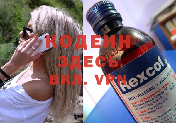 дурь Алексин