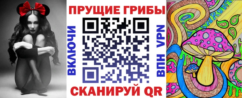 Галлюциногенные грибы Magic Shrooms  дарк нет наркотические препараты  Фатеж 